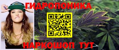 PSILOCYBIN Гусиноозёрск