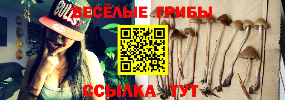Псилоцибиновые грибы Magic Shrooms Наро-Фоминск